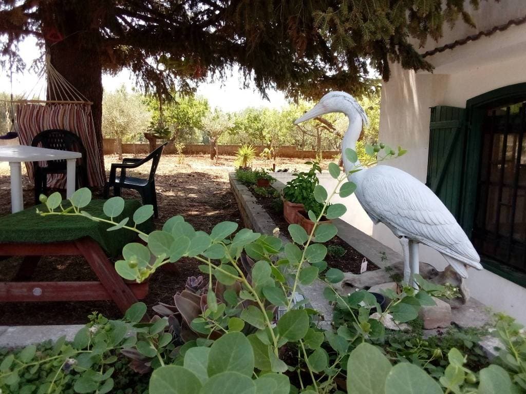 Trulli à vendre à Alberobello, photo 17 sur 20