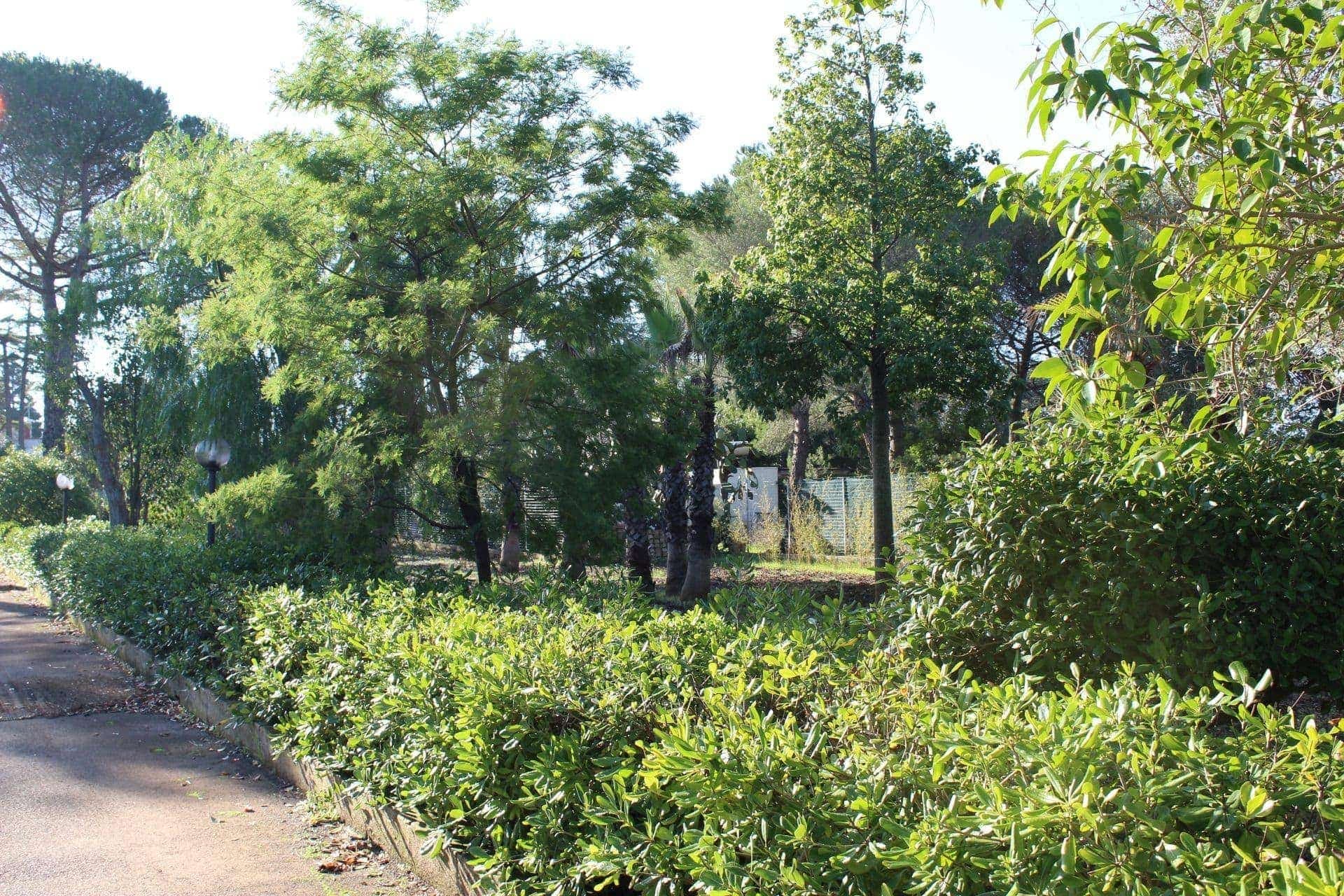 Maisons / Villas à vendre à Francavilla Fontana, photo 4 sur 16