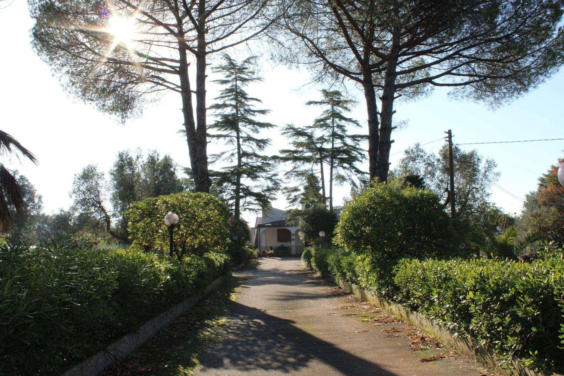 Maisons / Villas à vendre à Francavilla Fontana, photo 5 sur 16