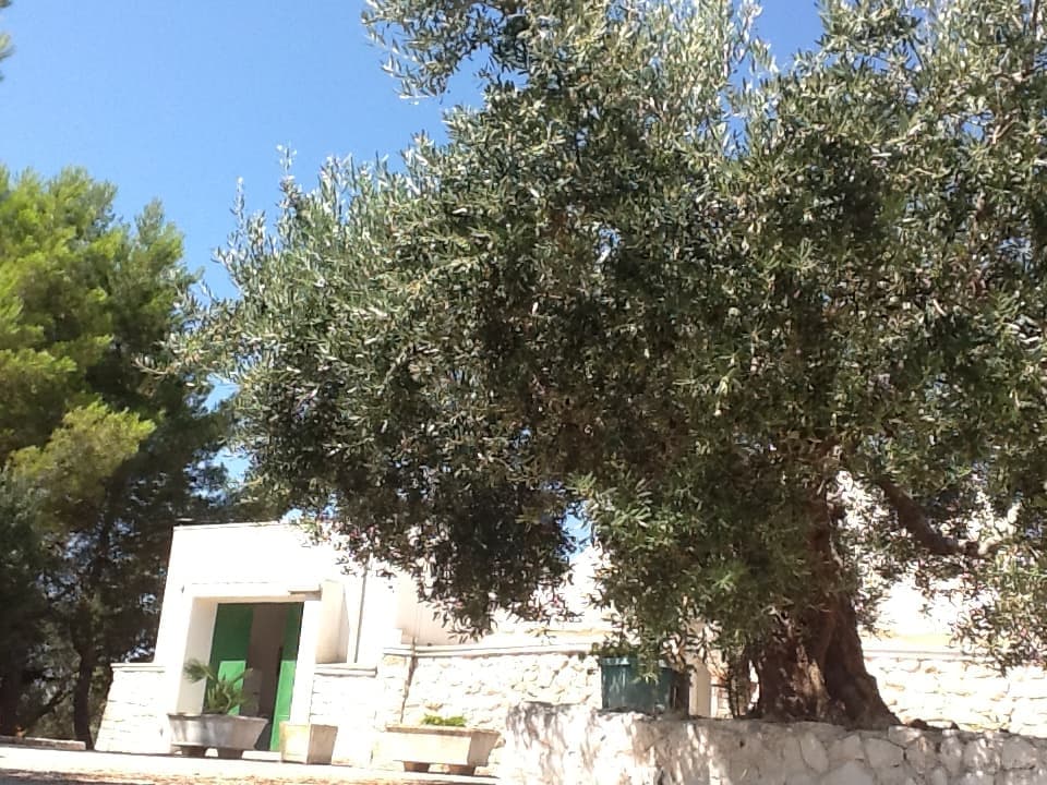 Trulli à vendre à Francavilla Fontana, photo 4 sur 16