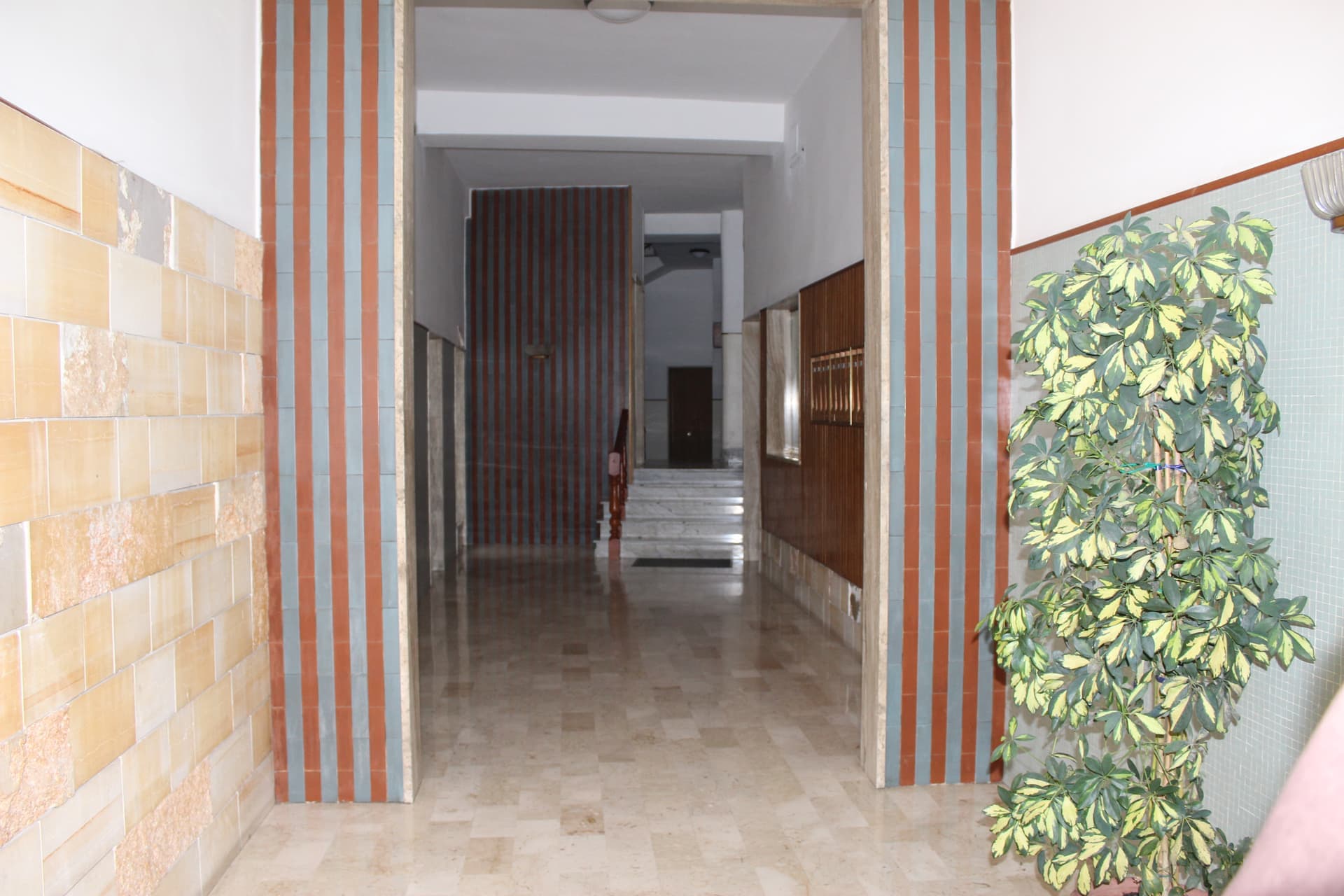 Appartement spacieux avec 3 chambres à Francavilla Fontana - Francavilla Fontana