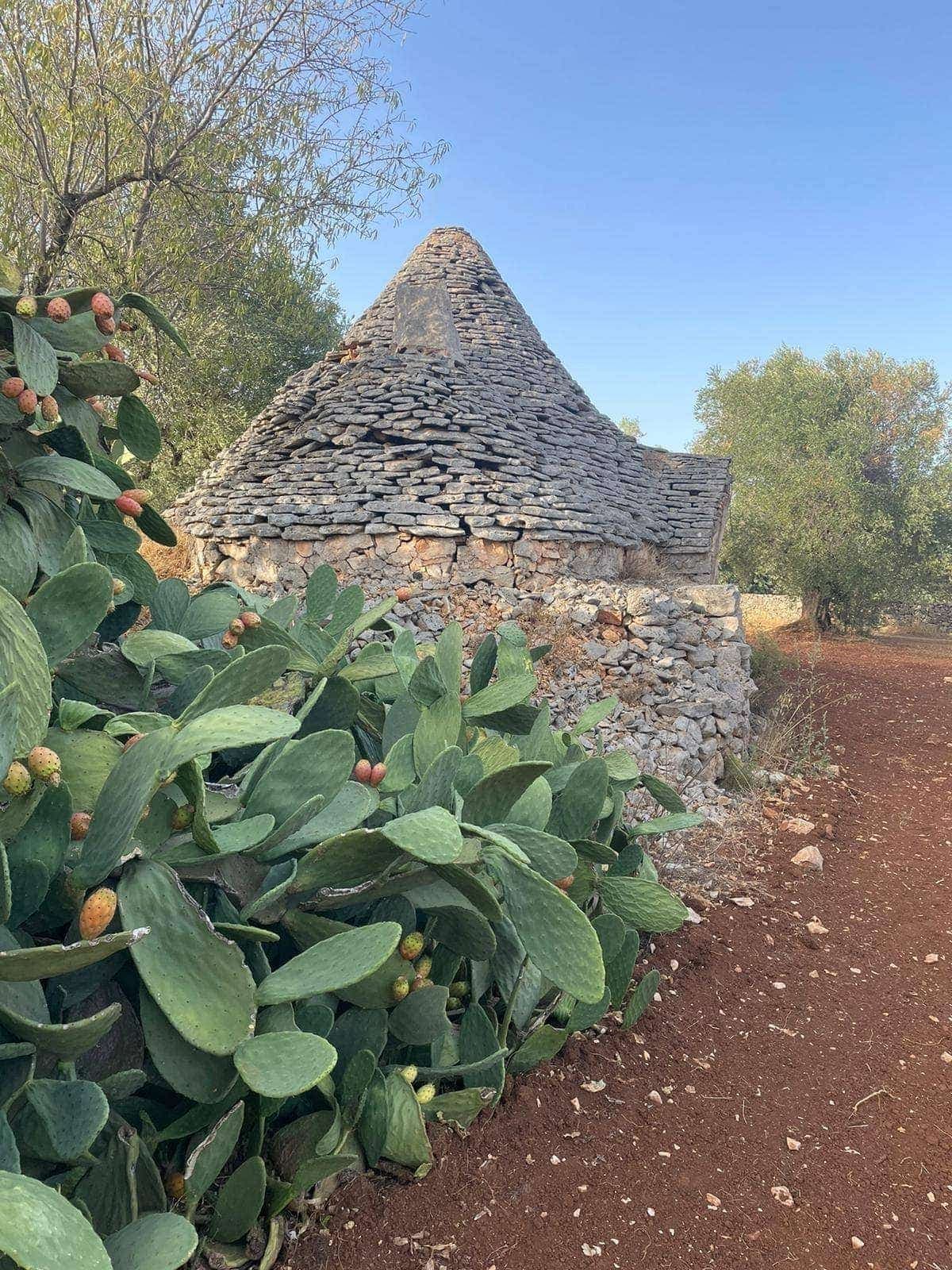 Trulli à vendre à Francavilla Fontana, photo 6 sur 10