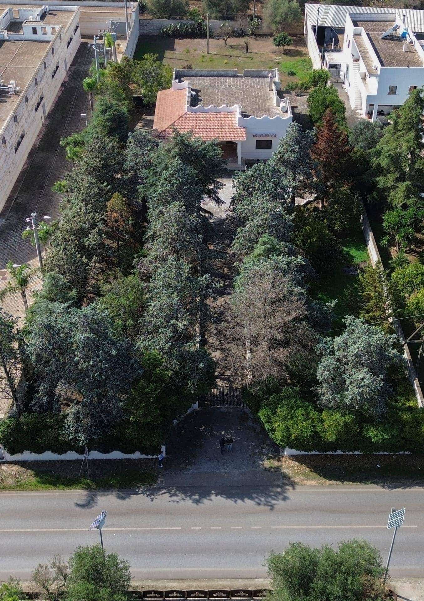 Maisons / Villas à vendre à Francavilla Fontana, photo 3 sur 8
