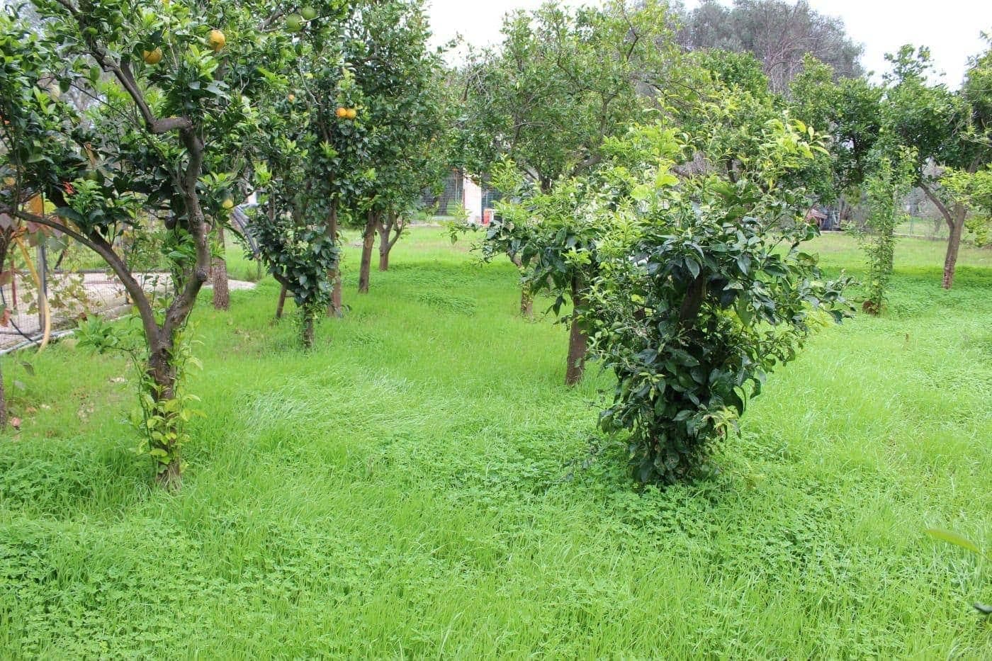 Maisons / Villas à vendre à Francavilla Fontana, photo 13 sur 16