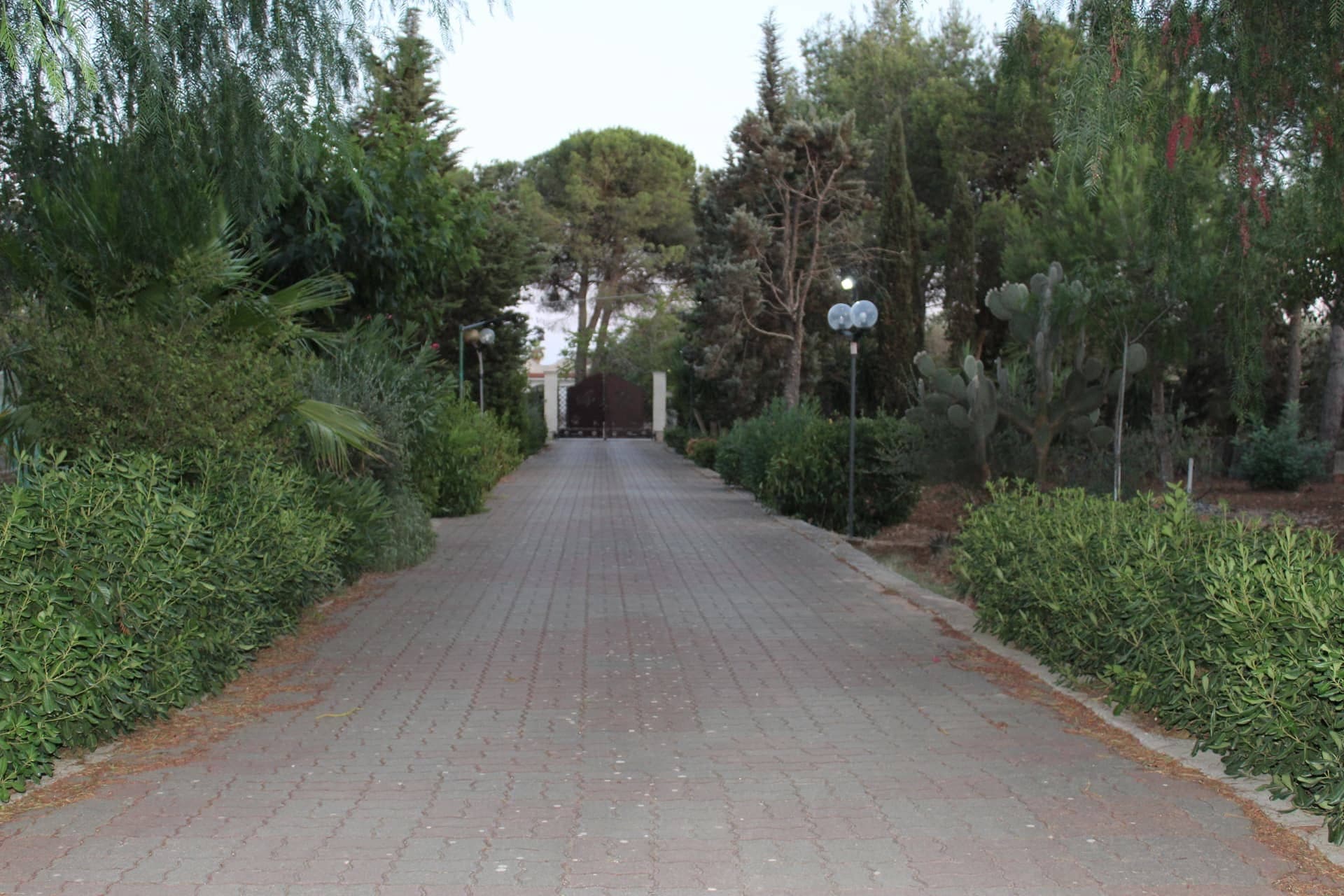 Charmant villino indépendant à Francavilla Fontana avec jardin de 4700 m² - Francavilla Fontana