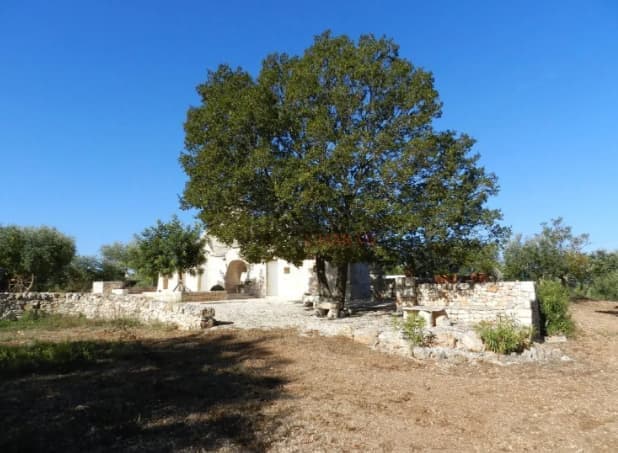 Trulli à vendre à Castellana Grotte, photo 8 sur 8