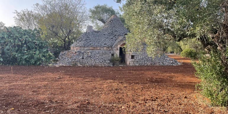 Terrain avec Trulli à vendre à Francavilla Fontana, 16000 m² - Francavilla Fontana