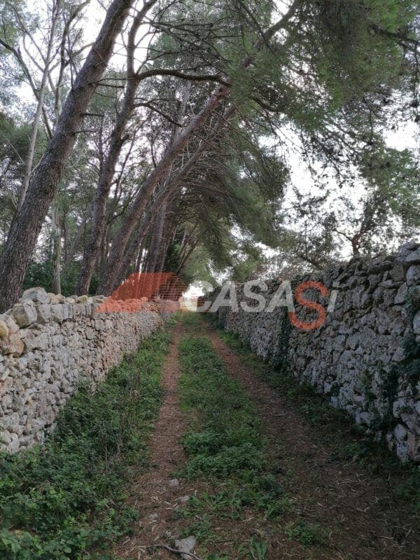 Terrains Agricoles à Otranto - Opportunité d'Investissement — Otranto (Lecce)