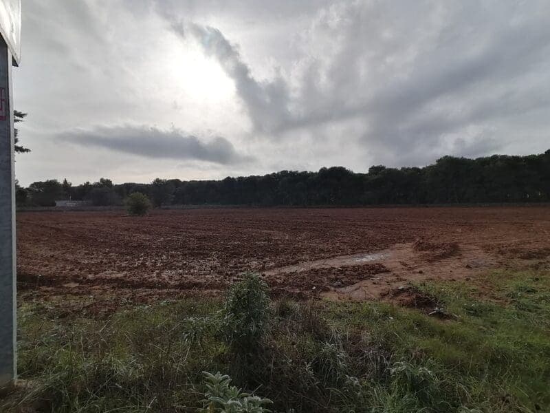 Terrain Agricole à Vendre à Otranto - Opportunité d'Investissement — Otranto (Lecce)