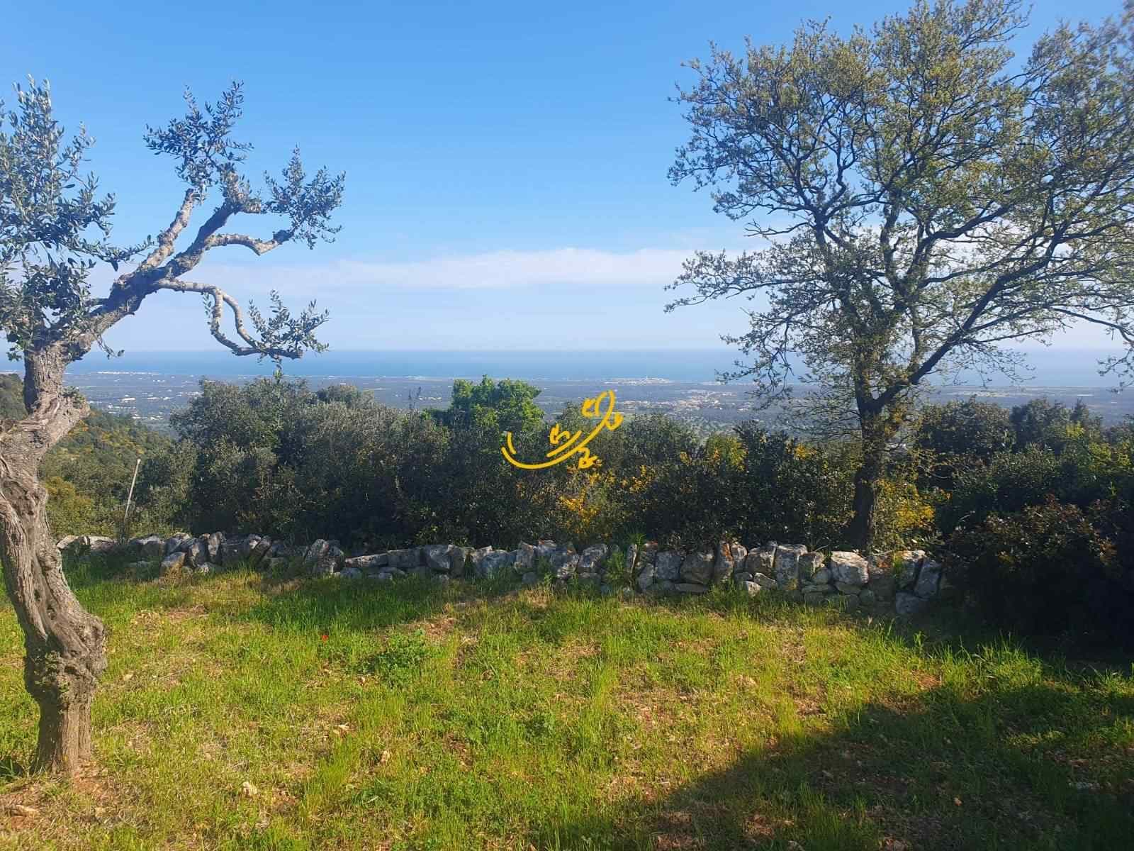 Maison 3 pièces 57 m² — Cisternino (Brindisi)