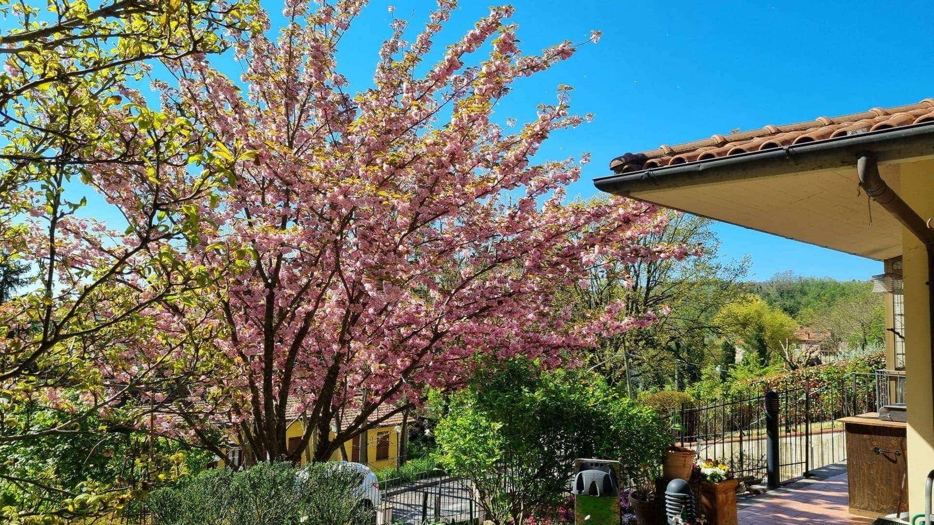 Maison 7 pièces 137 m² — Barberino di Mugello (Firenze)