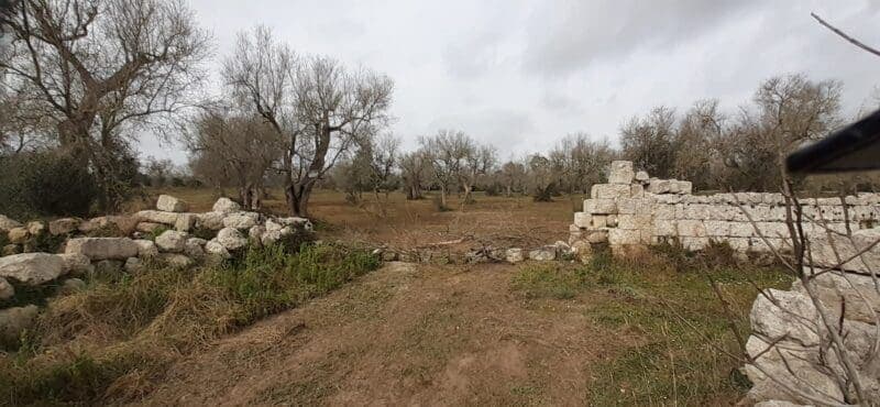 Terrain agricole à vendre à Otranto, Salento - 45 000 € — Otranto (Lecce)