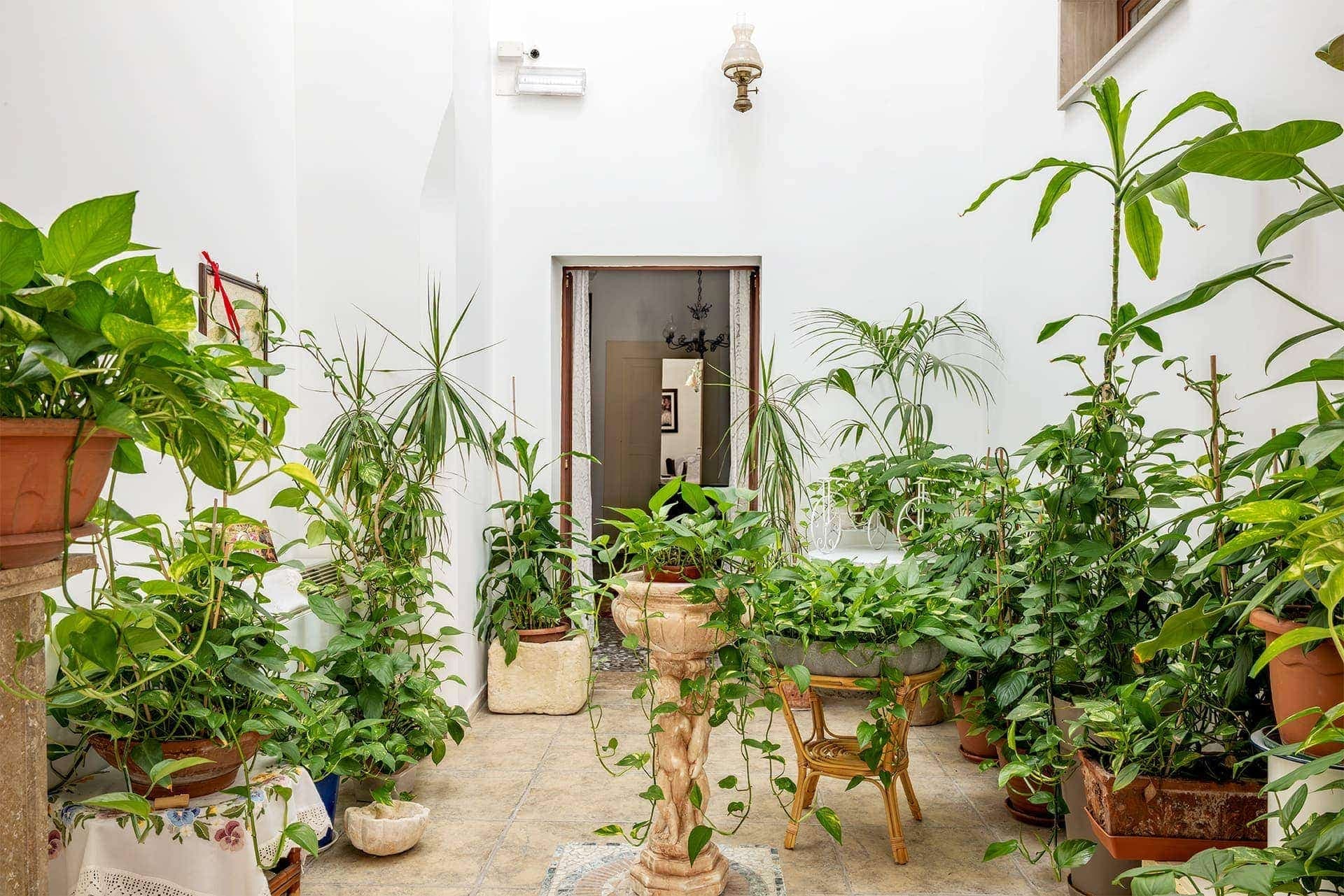 Propriété historique avec jardin privé à Francavilla Fontana - Opportunité unique - Francavilla Fontana
