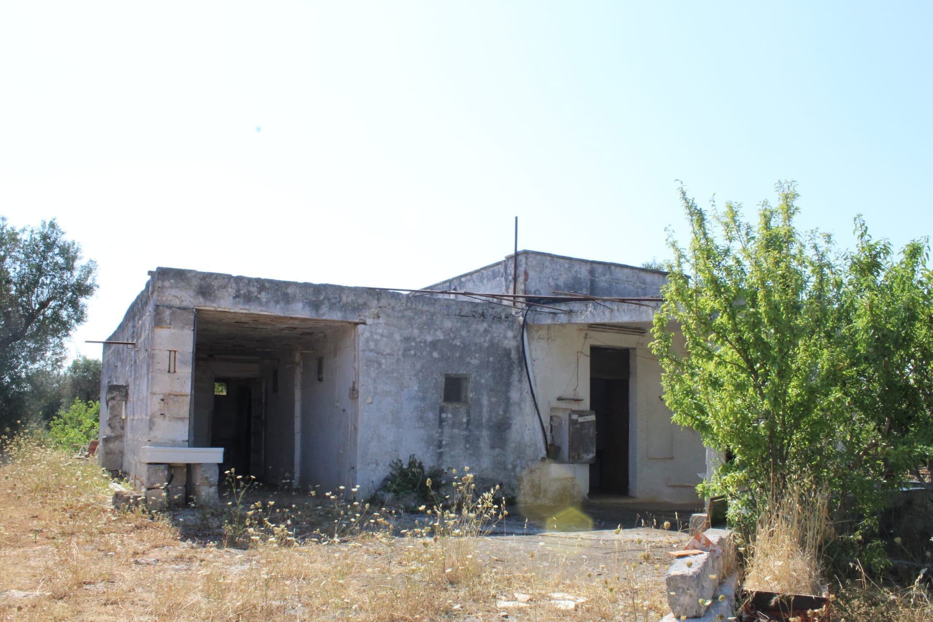 Rudere à San Vito dei Normanni avec 6.500 m² de terrain à rénover - San Vito dei Normanni