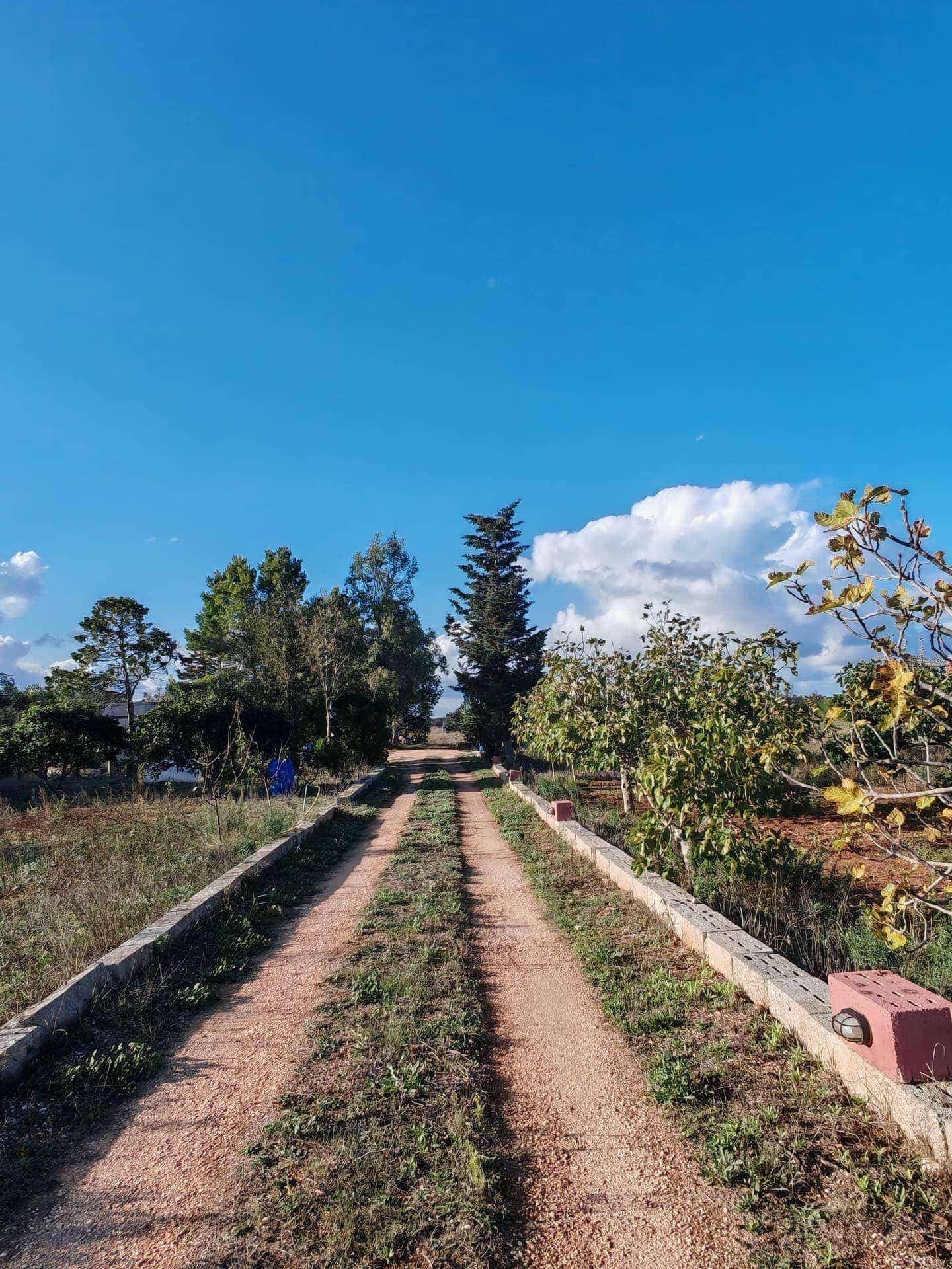 Terrain agricole à vendre à Otranto, Salento - 15 000 € — Otranto (Lecce)