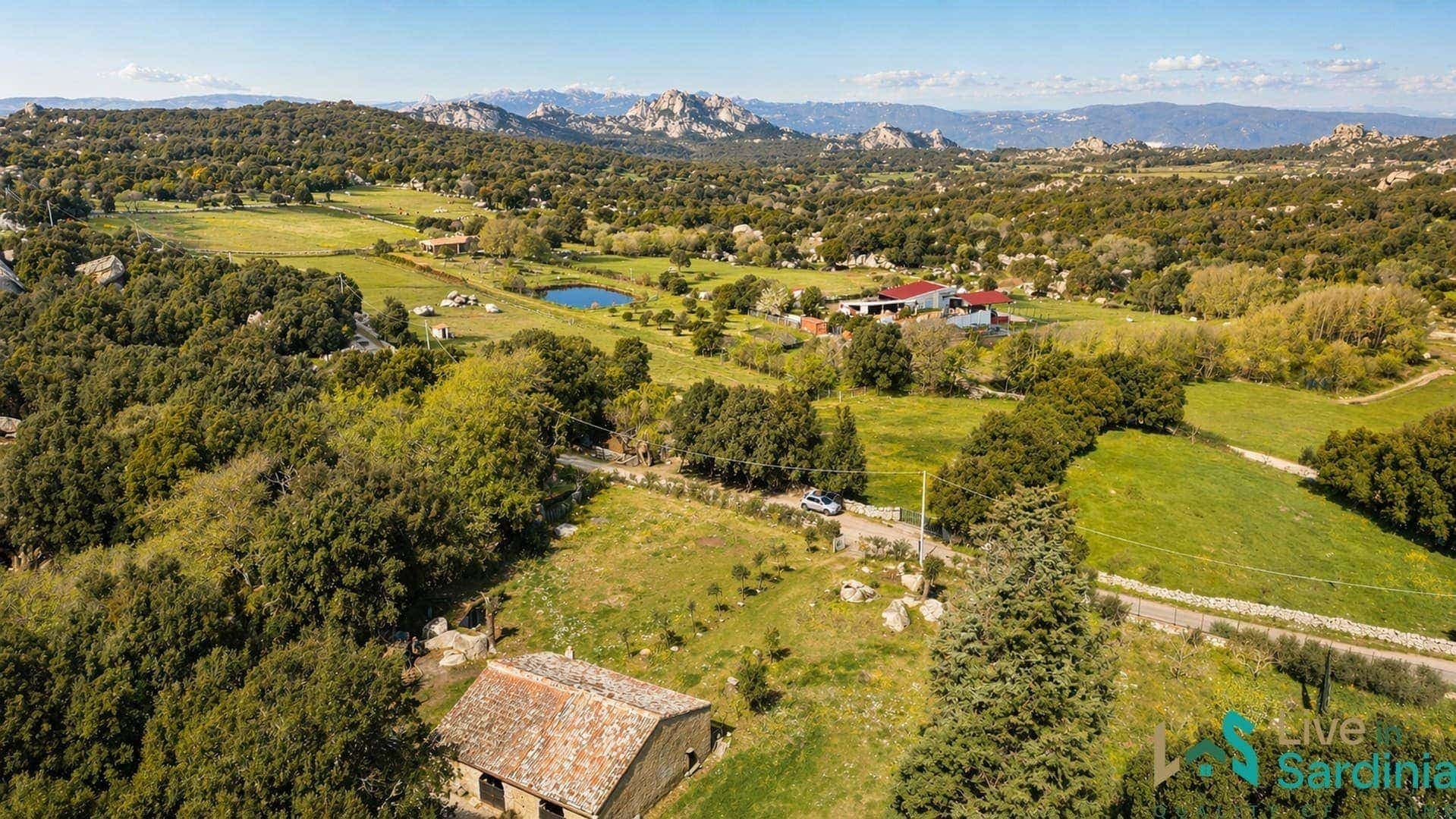 Maison 3 pièces 525 m² — Pittulongu (Sassari)