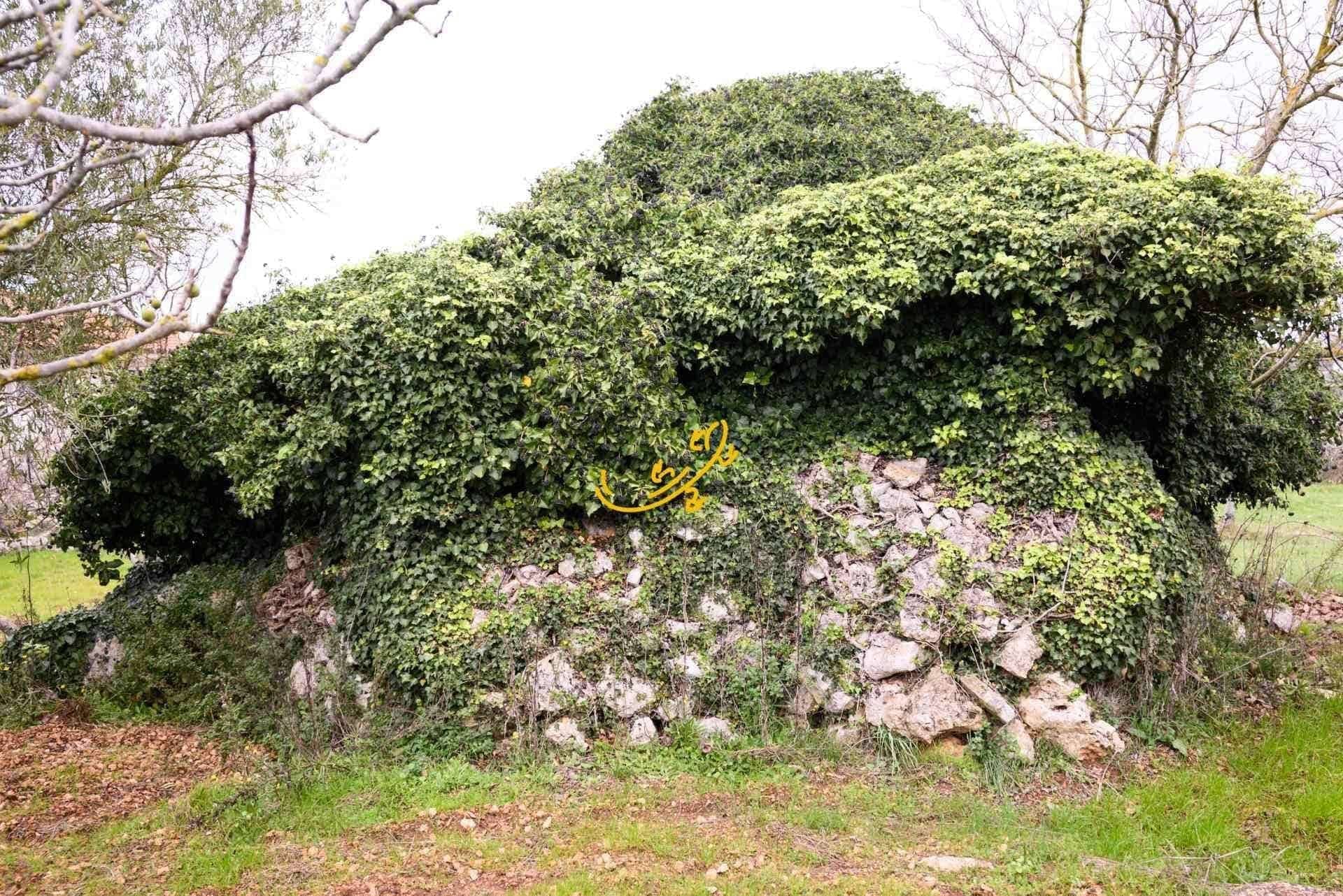 Trullo 3 pièces 50 m² — Noci (Bari)