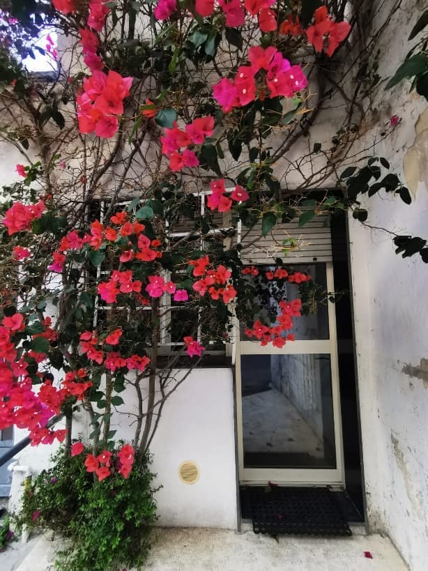 Appartement 2 pièces 63 m² — Cursi (Lecce)