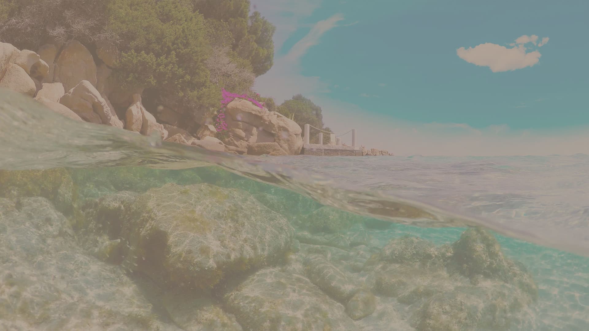 Villa à vendre à San Pantaleo, Sardaigne - Live in Sardinia — Olbia