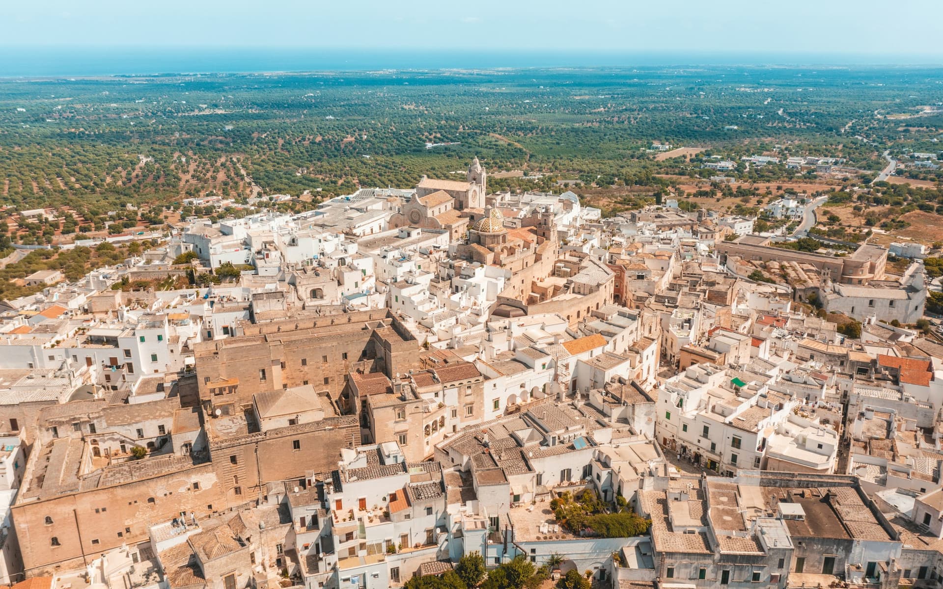 Panorama des Pouilles — oliviers et côte
