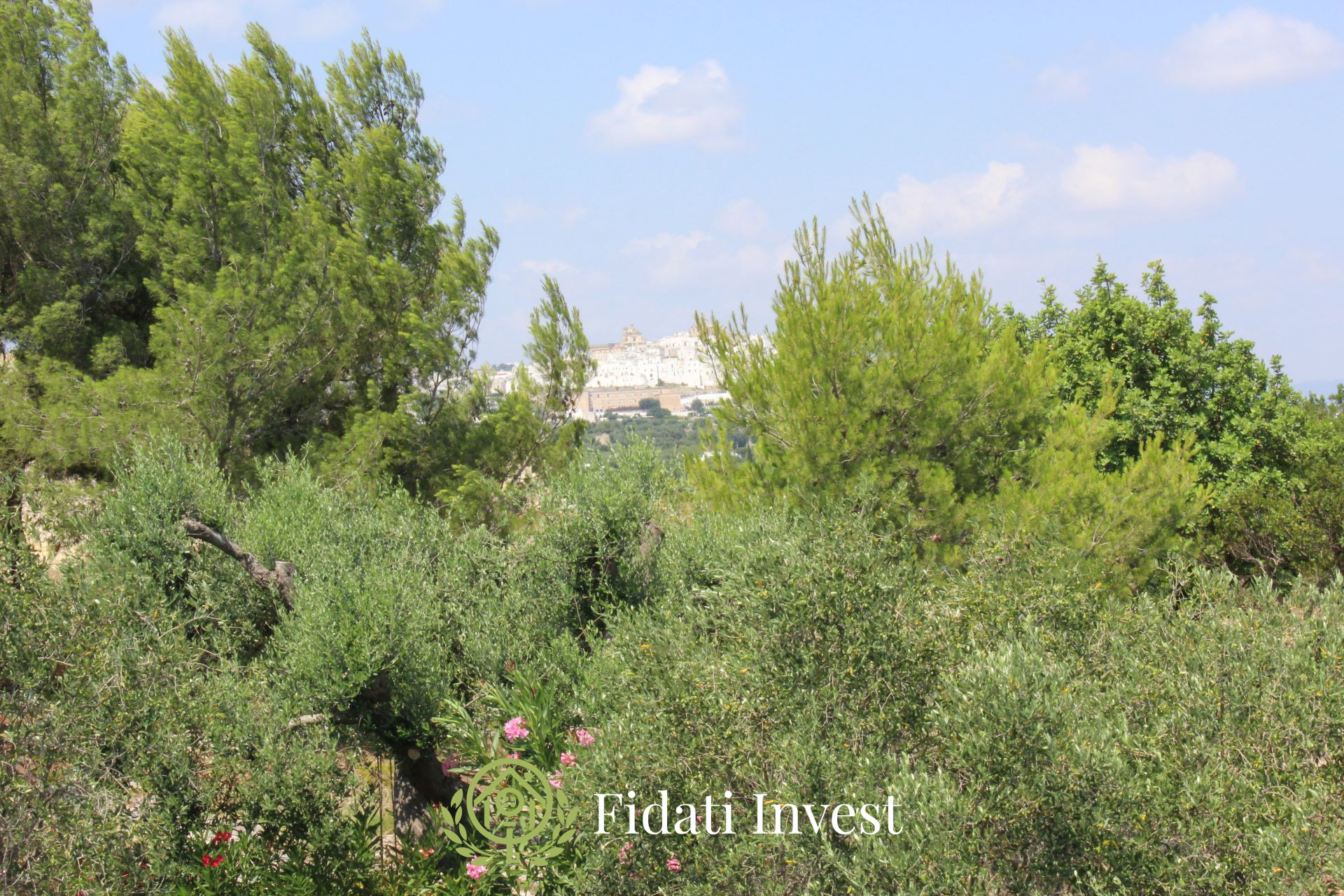 villa-ostuni-mare-52