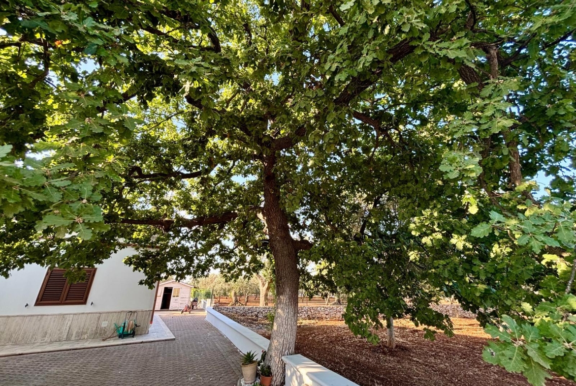 1170