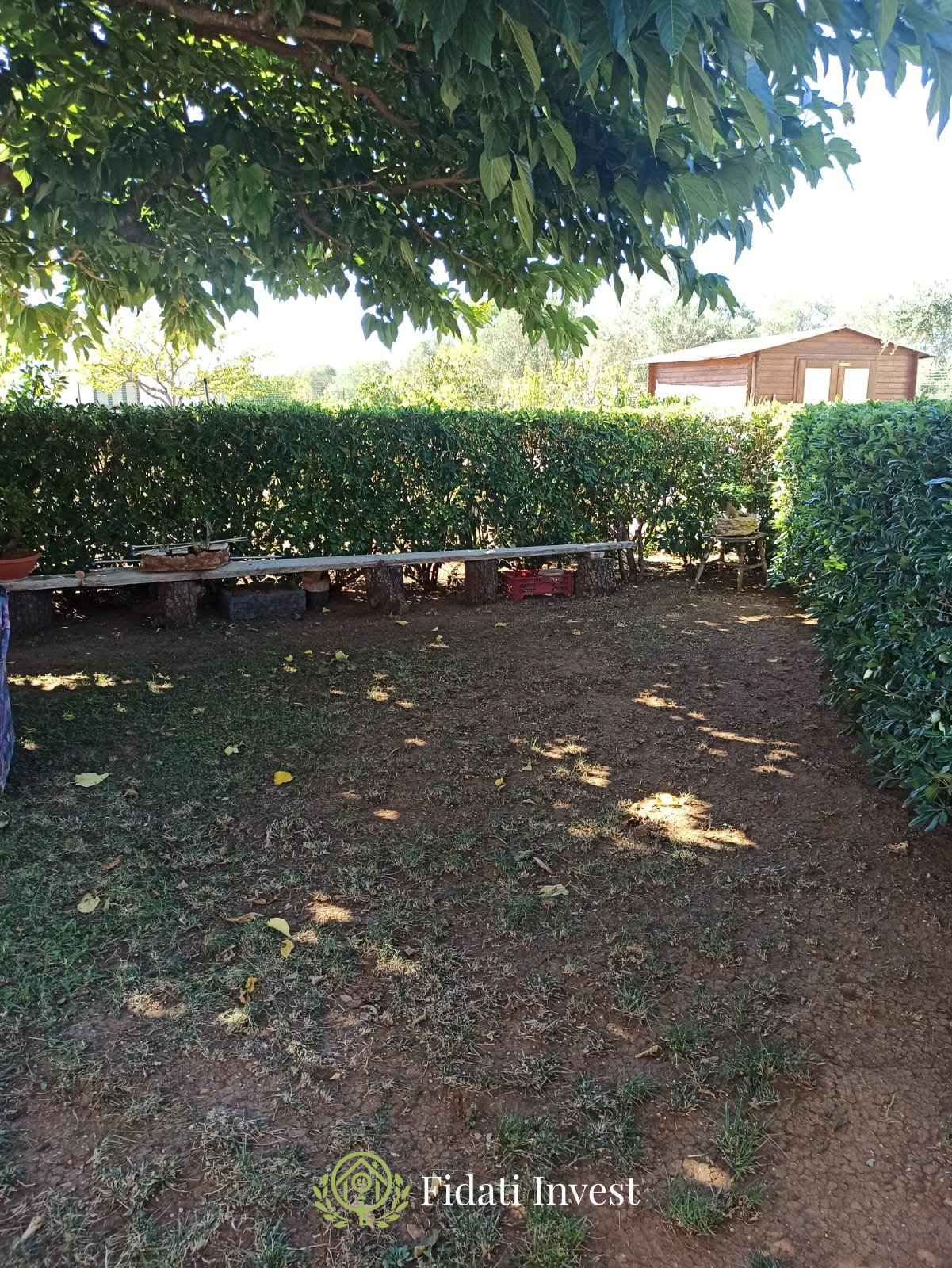 IMG-20251103-WA0006