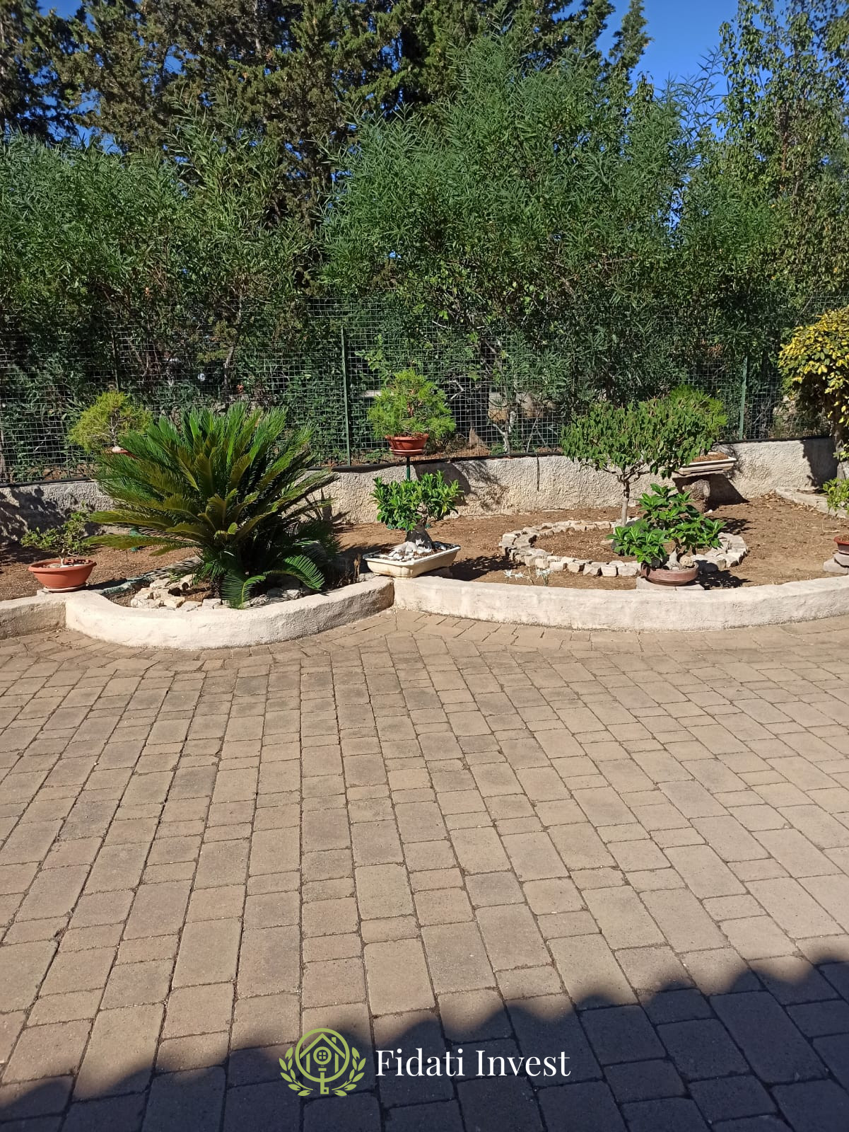 IMG-20251103-WA0015