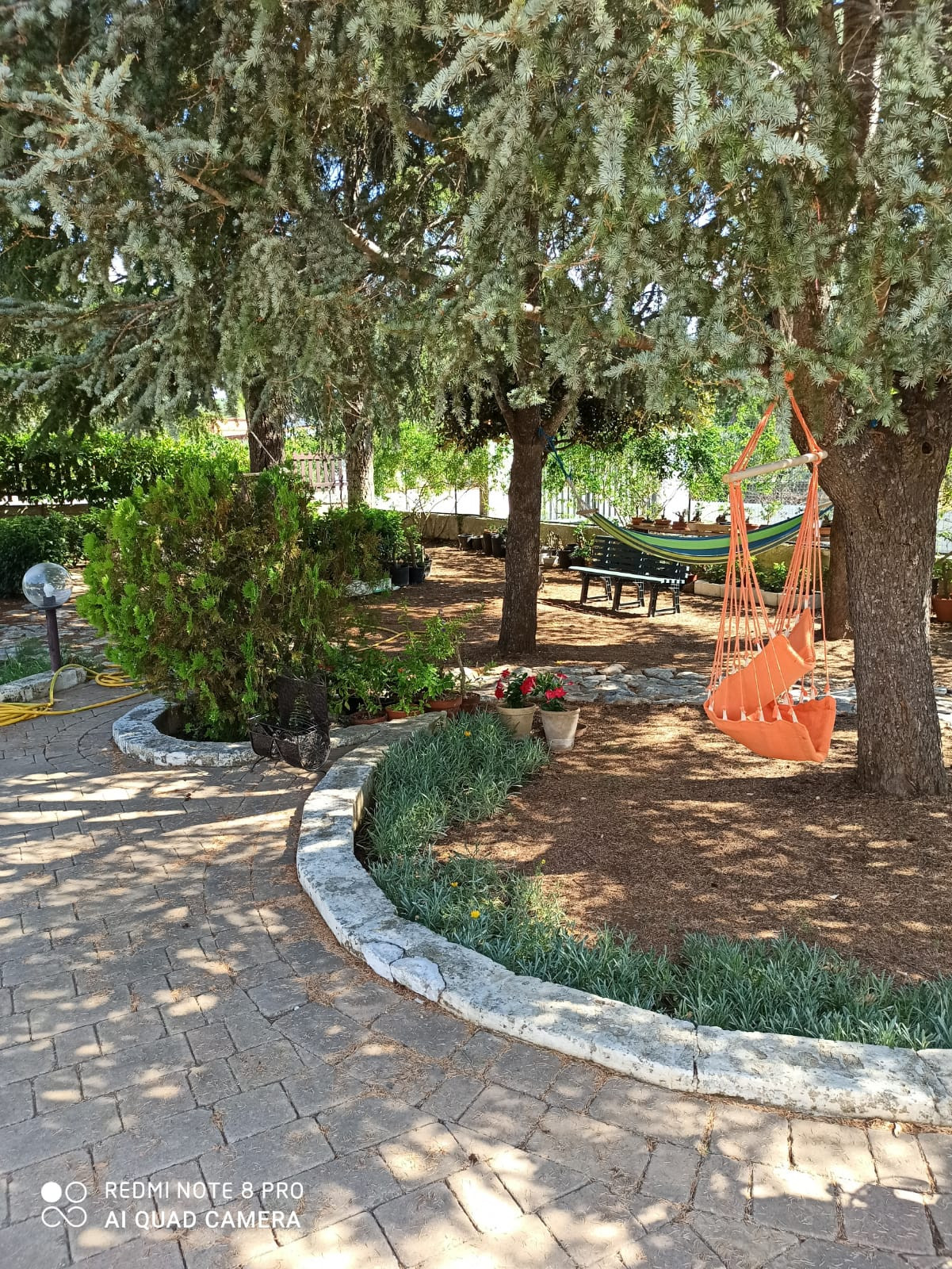 IMG-20251103-WA0036
