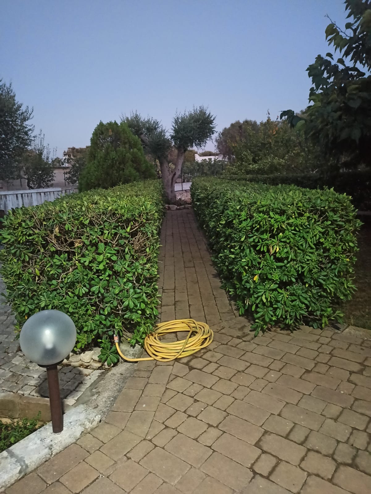 IMG-20251103-WA0043